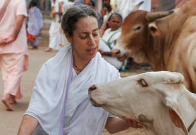 Vicitri with cow in Vrindavan, India